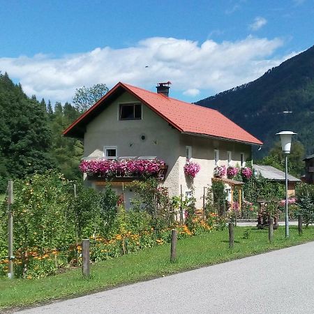 Appartment Haring Hollenstein an der Ybbs Exterior photo