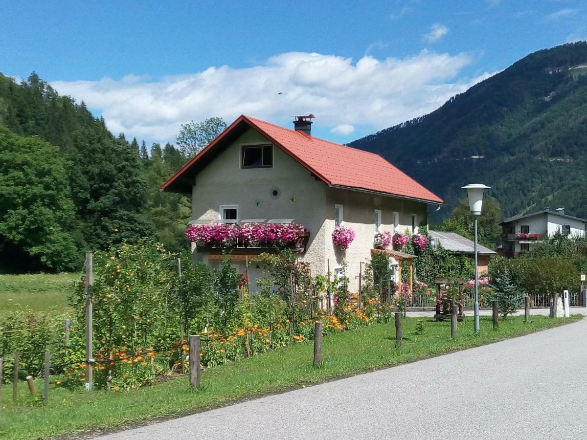 Appartment Haring Hollenstein an der Ybbs Exterior photo
